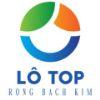 3c0a39 lô top